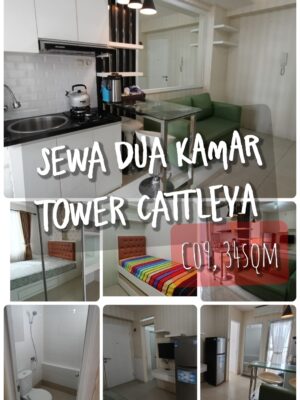 Sewa apartemen Bassura City tower Cattleya lantai 9
