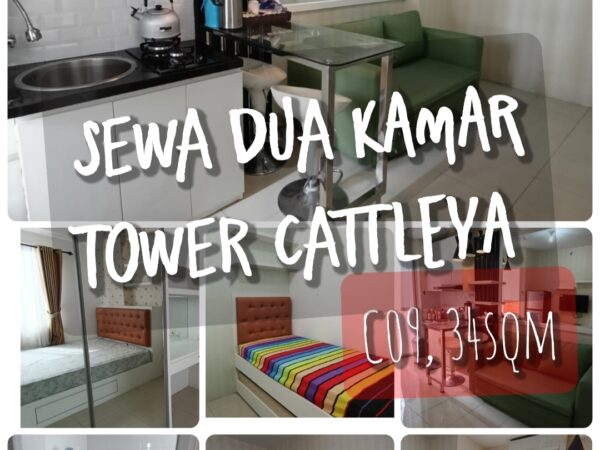 Sewa apartemen Bassura City tower Cattleya lantai 9