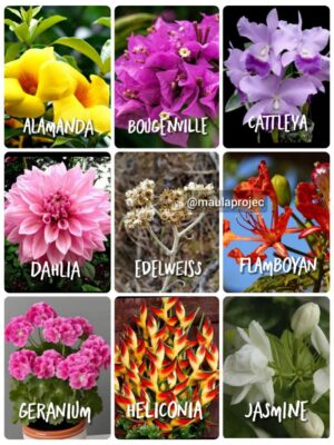 tower di bassura city