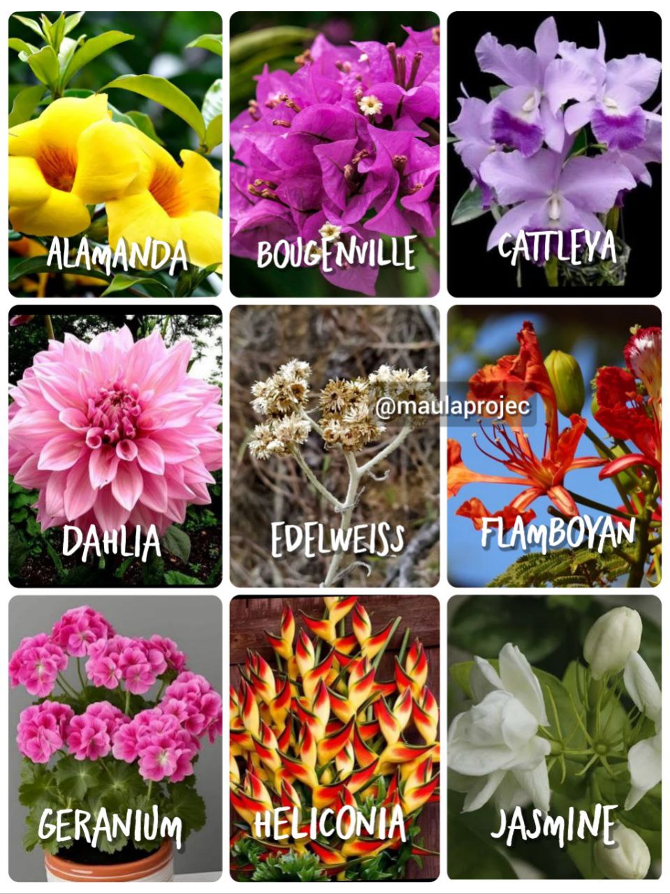 tower di bassura city